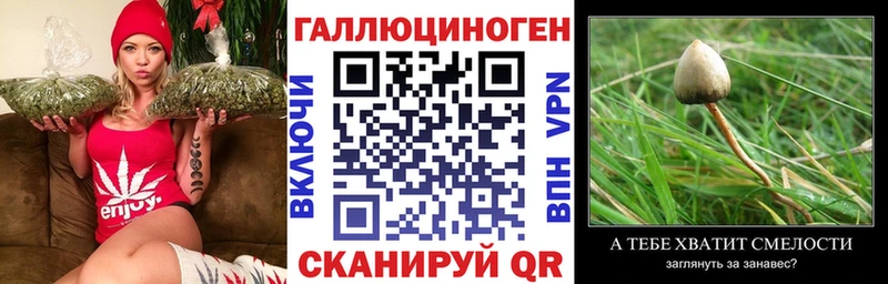 наркотики Суоярви Галлюциногенные грибы MAGIC MUSHROOMS